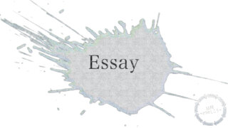 Essay